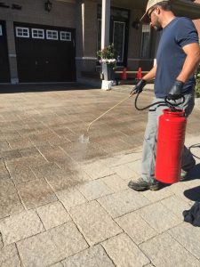 Preserve And Protect With Sealing