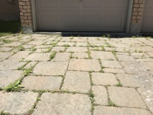 Grass coming through interlock